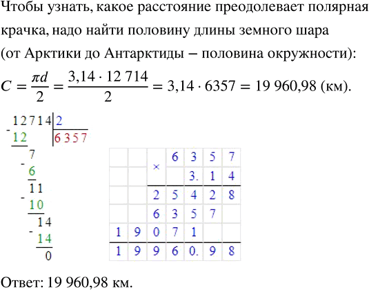 Изображение 3.176. Полярная крачка на зимовье перелетает из Арктики в Антарктиду. Какое расстояние она преодолевает, если полярный диаметр Земли равен 12 714 км?Окружность – это...